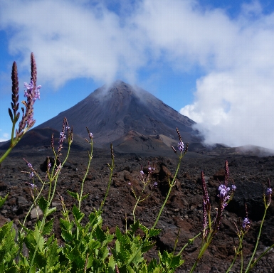 Cape Verde