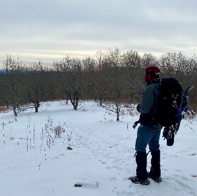 Wachusett winter