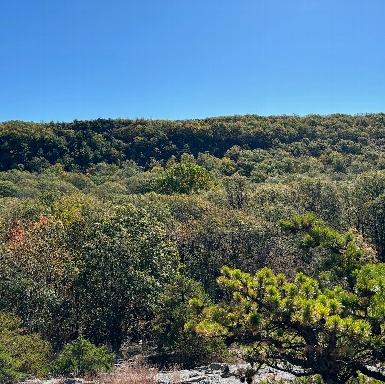 Harriman State Park