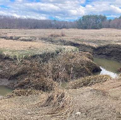 Newbury Salt Marsh