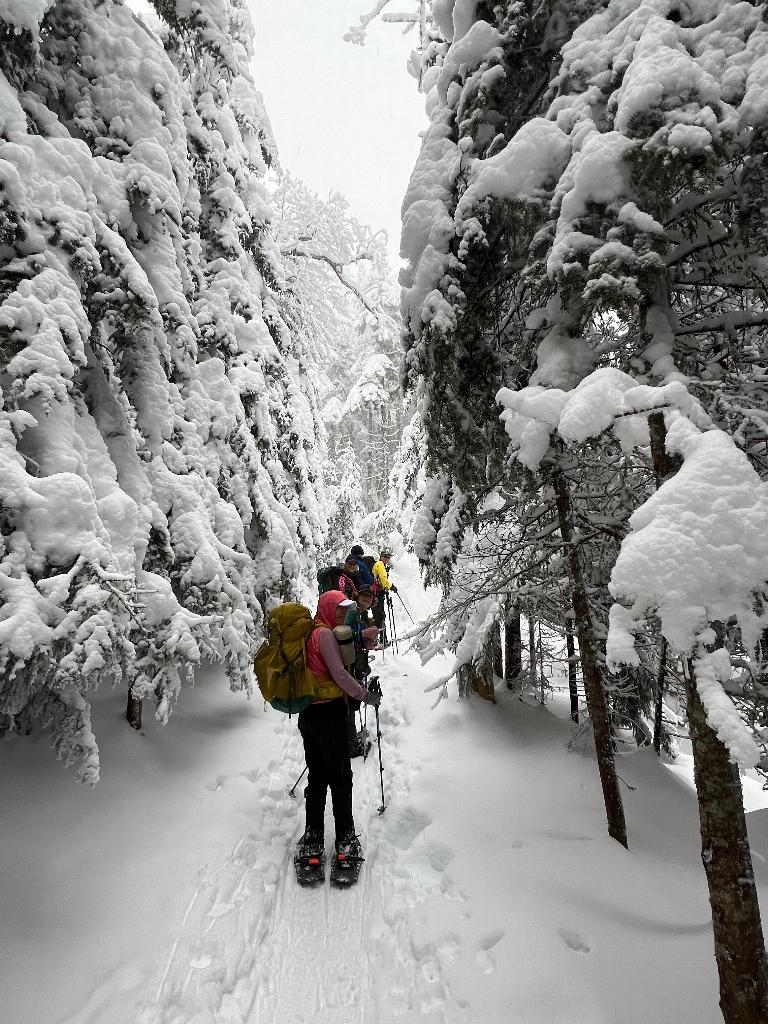 Snowshoeing