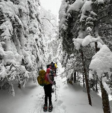 Snowshoeing