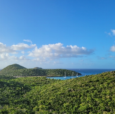 Salt Pond Bay, St John, USVI