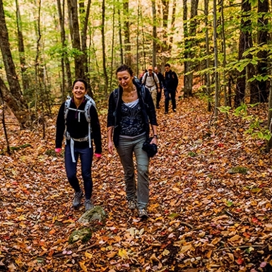 Fall Hiking