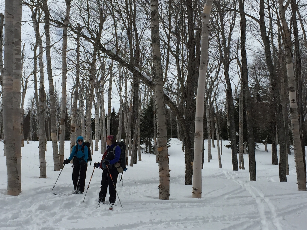 Winter Skiing