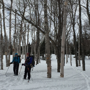 Winter Skiing