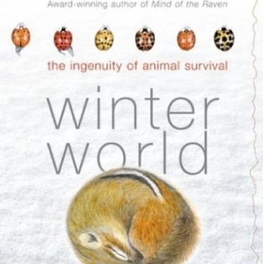 Winter World book cover