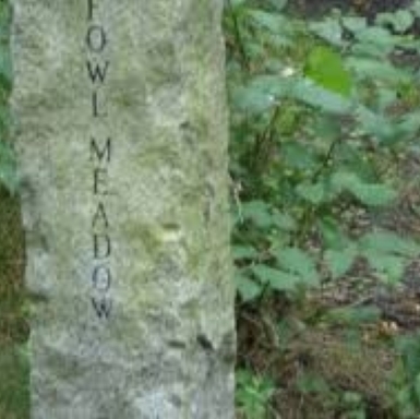 Fowl Meadow marker in summer