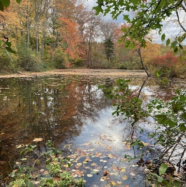 hopewell lake