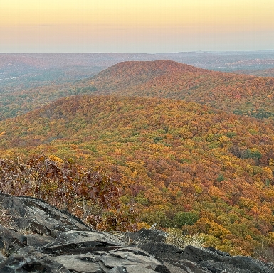 Fall Foliage on Mount Norwottuck 